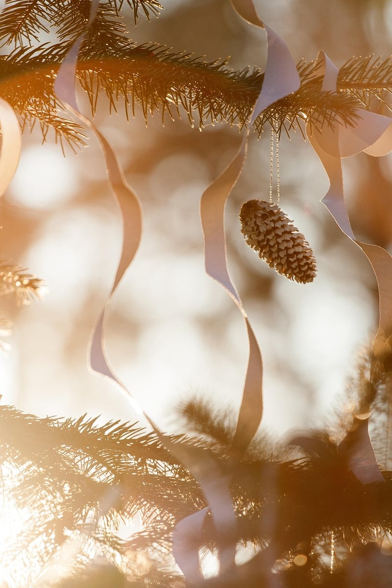 Pine Cones Christmas Decorations
