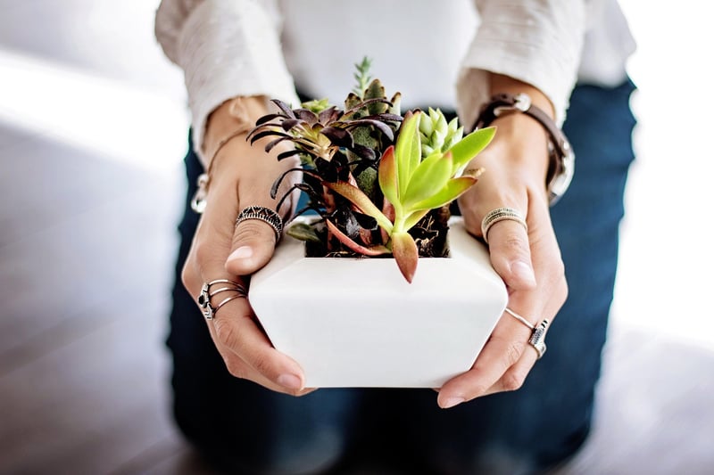 Statement Planters